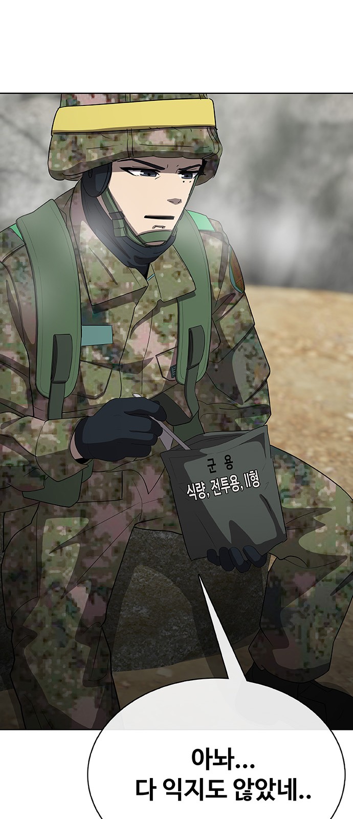 68 페이지