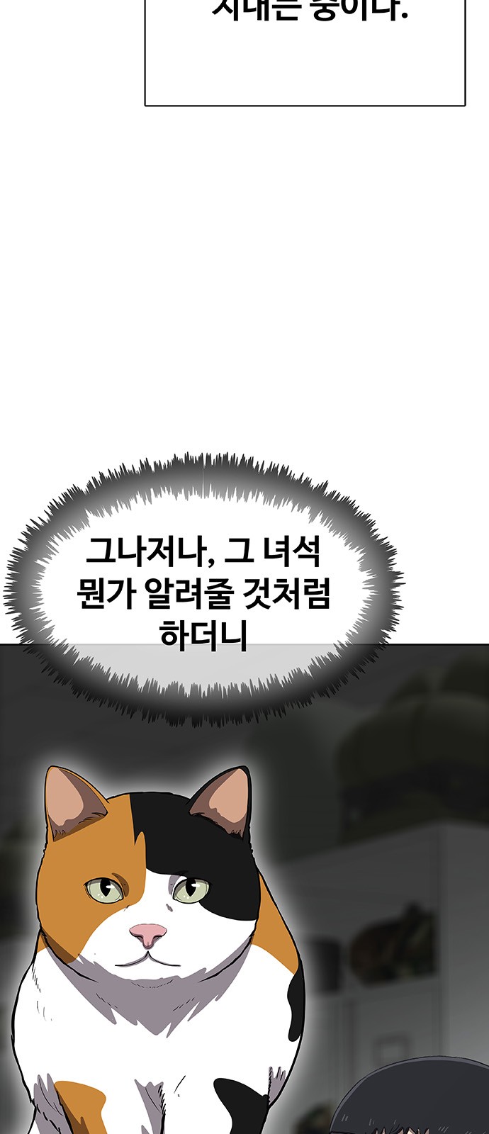 86 페이지