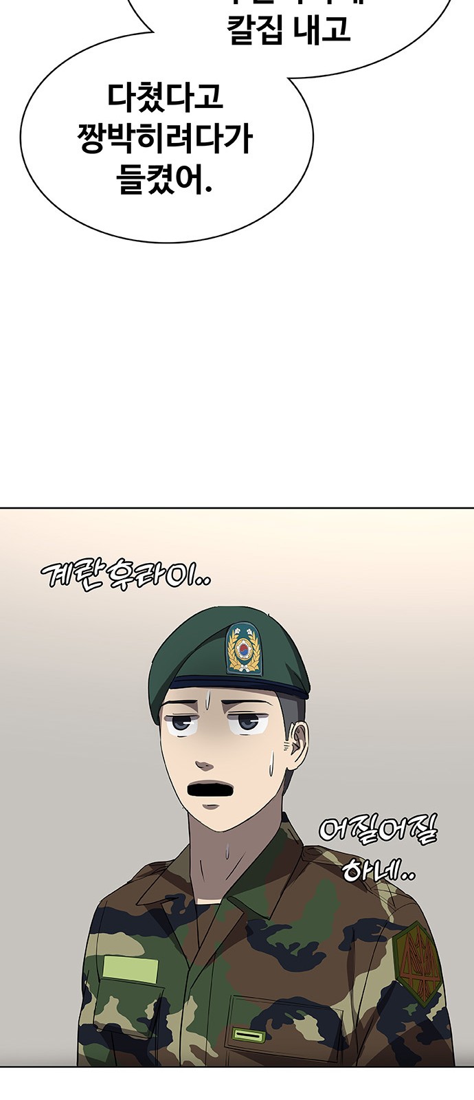 66 페이지