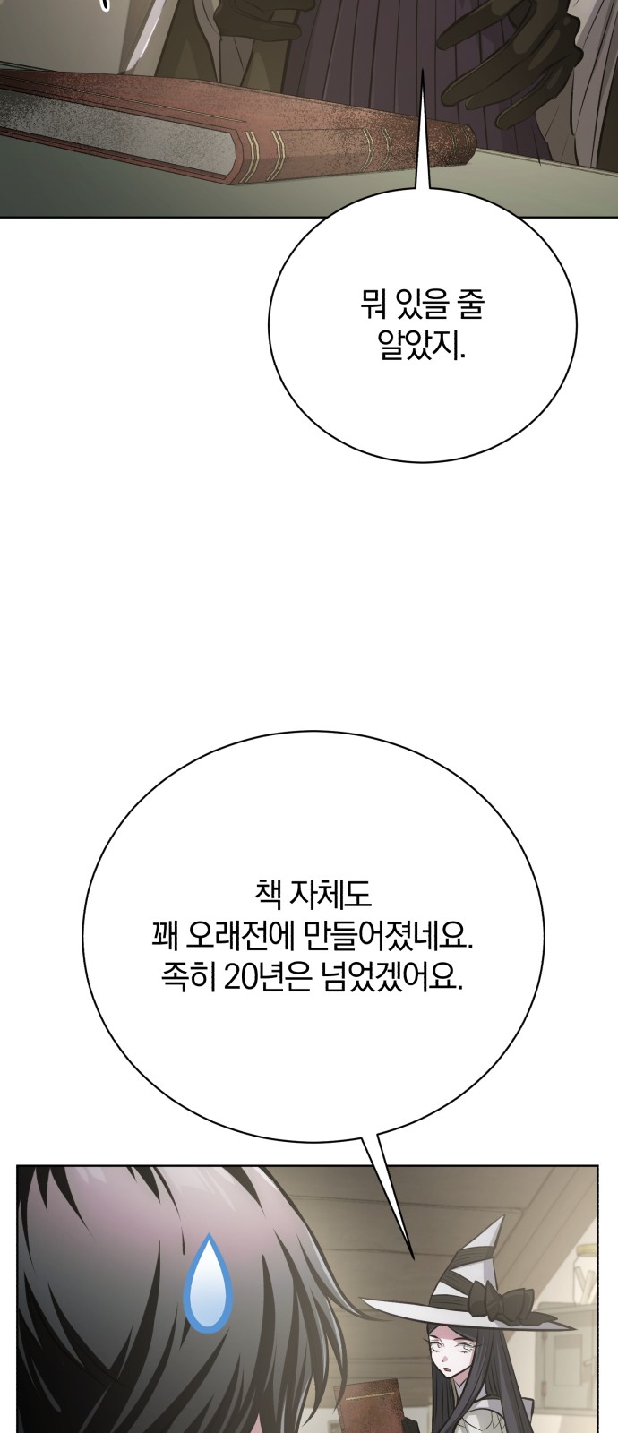 33 페이지