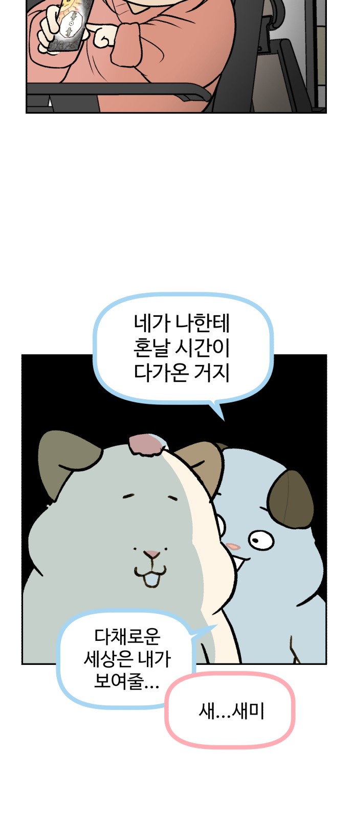 51 페이지