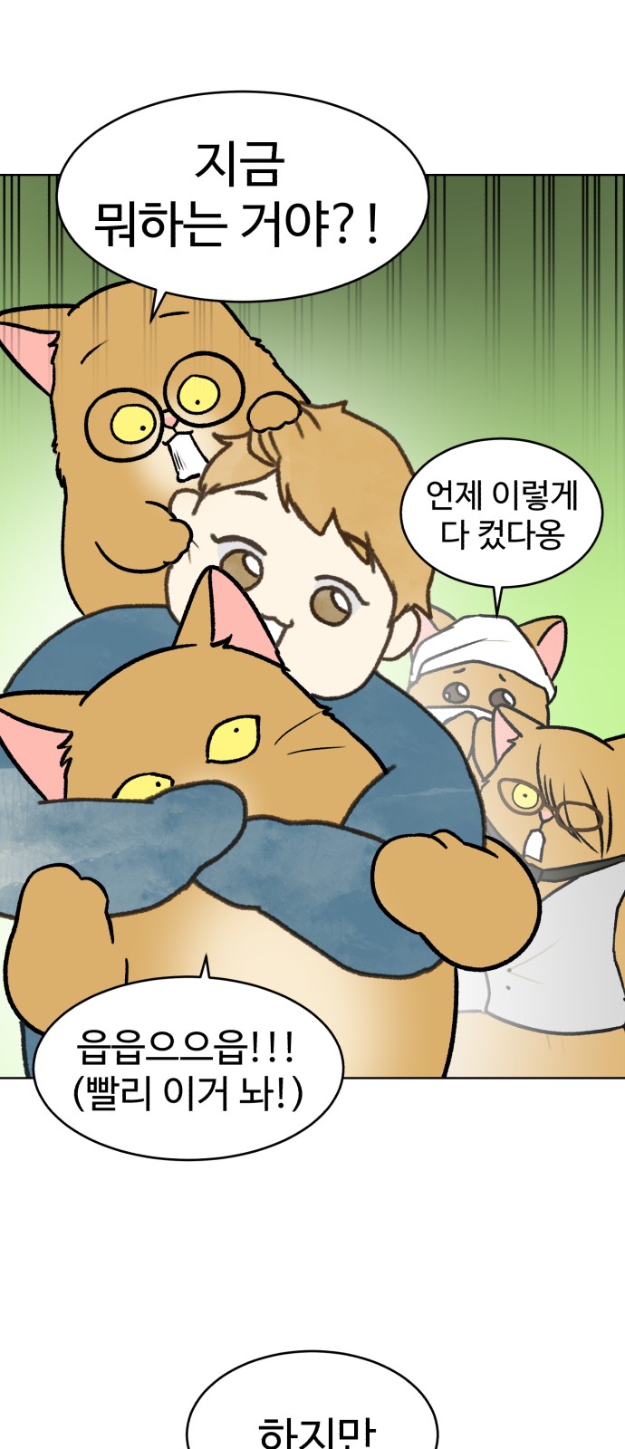 31 페이지