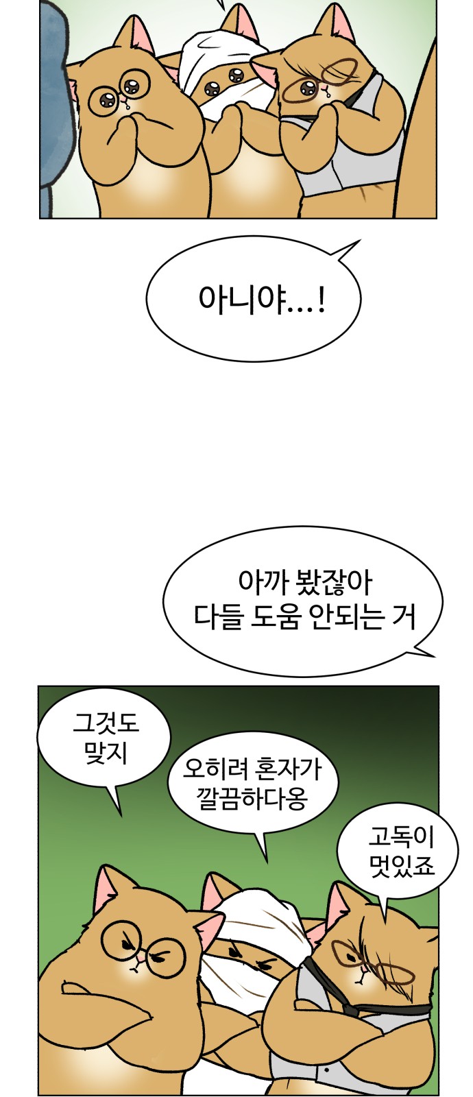 36 페이지