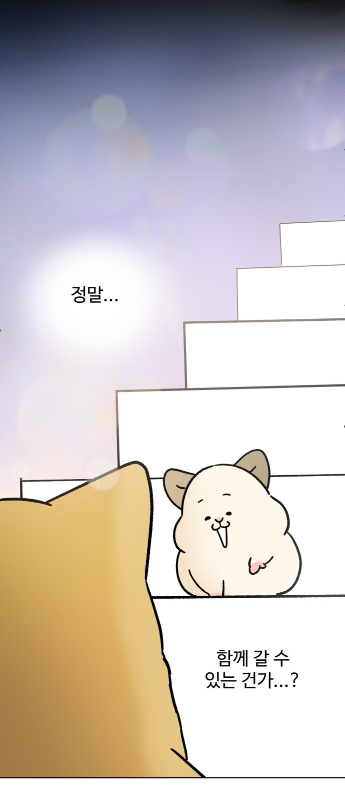44 페이지