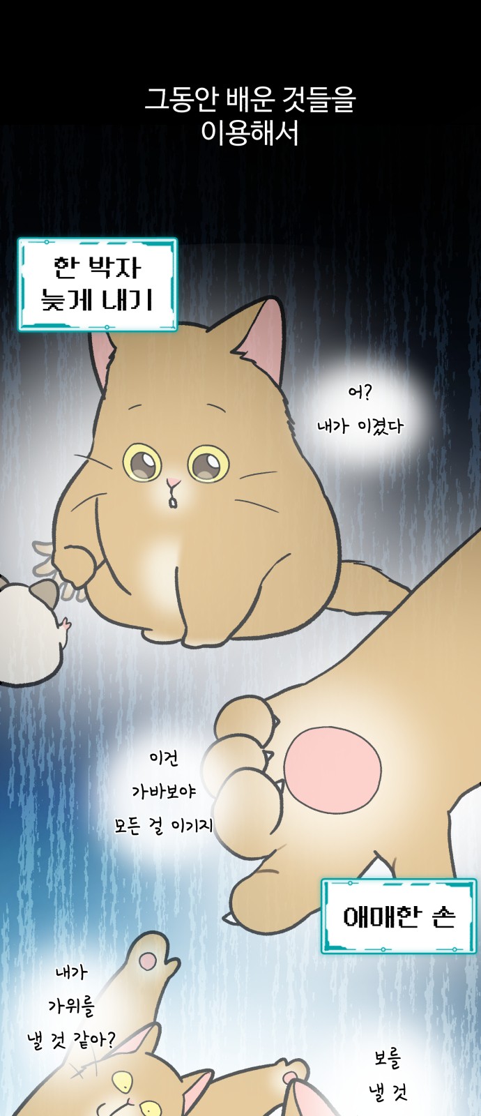 5 페이지