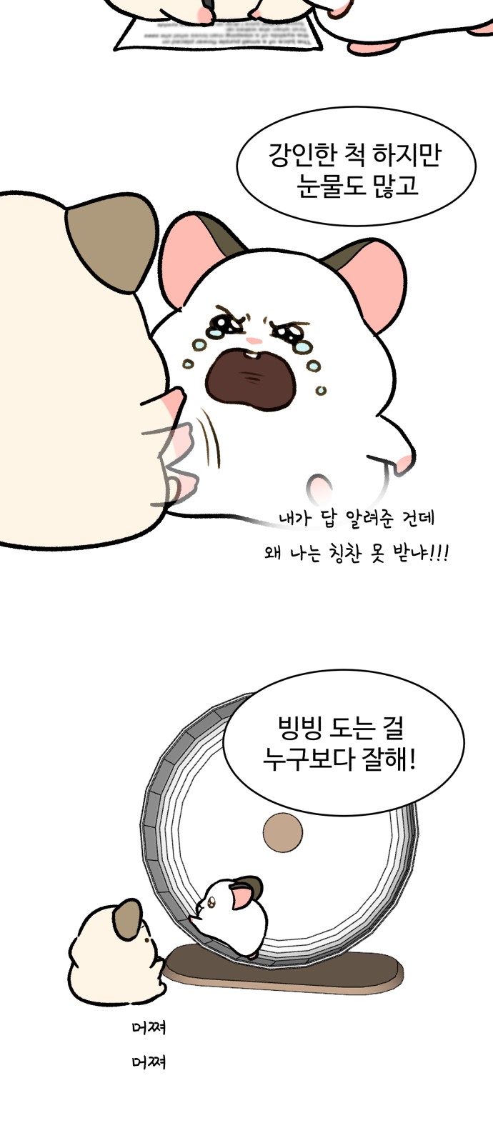 26 페이지