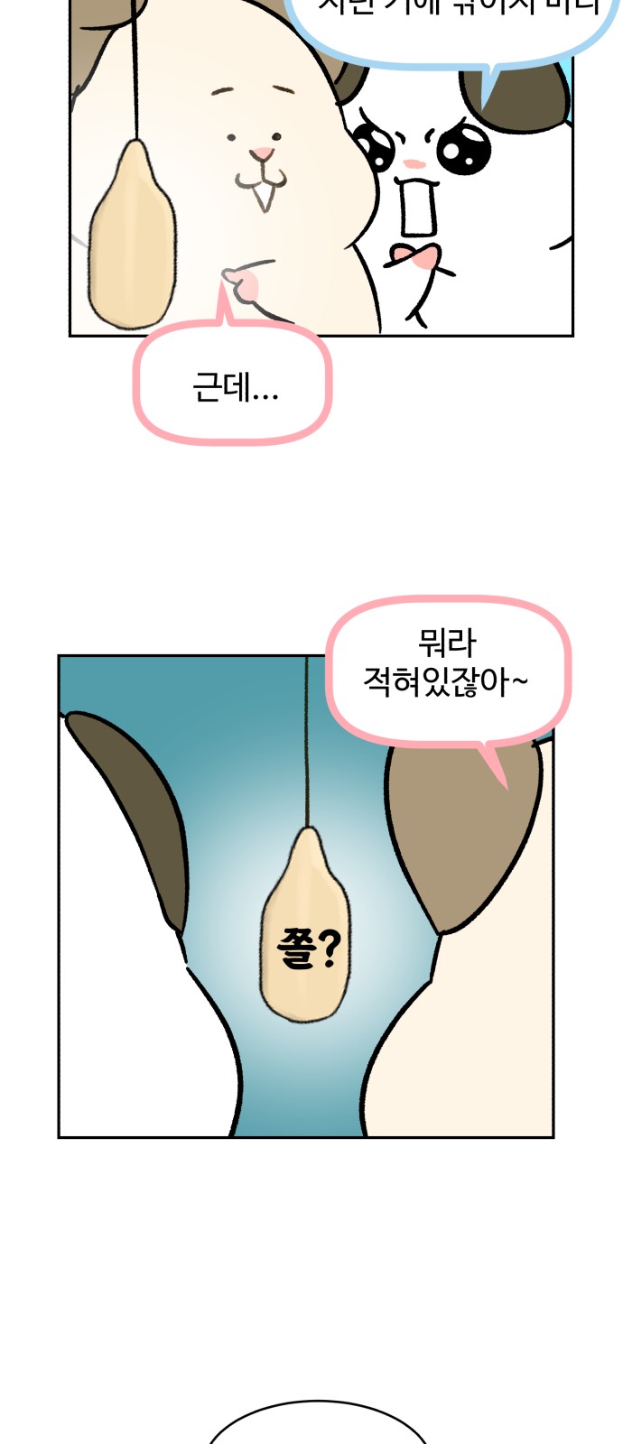 35 페이지