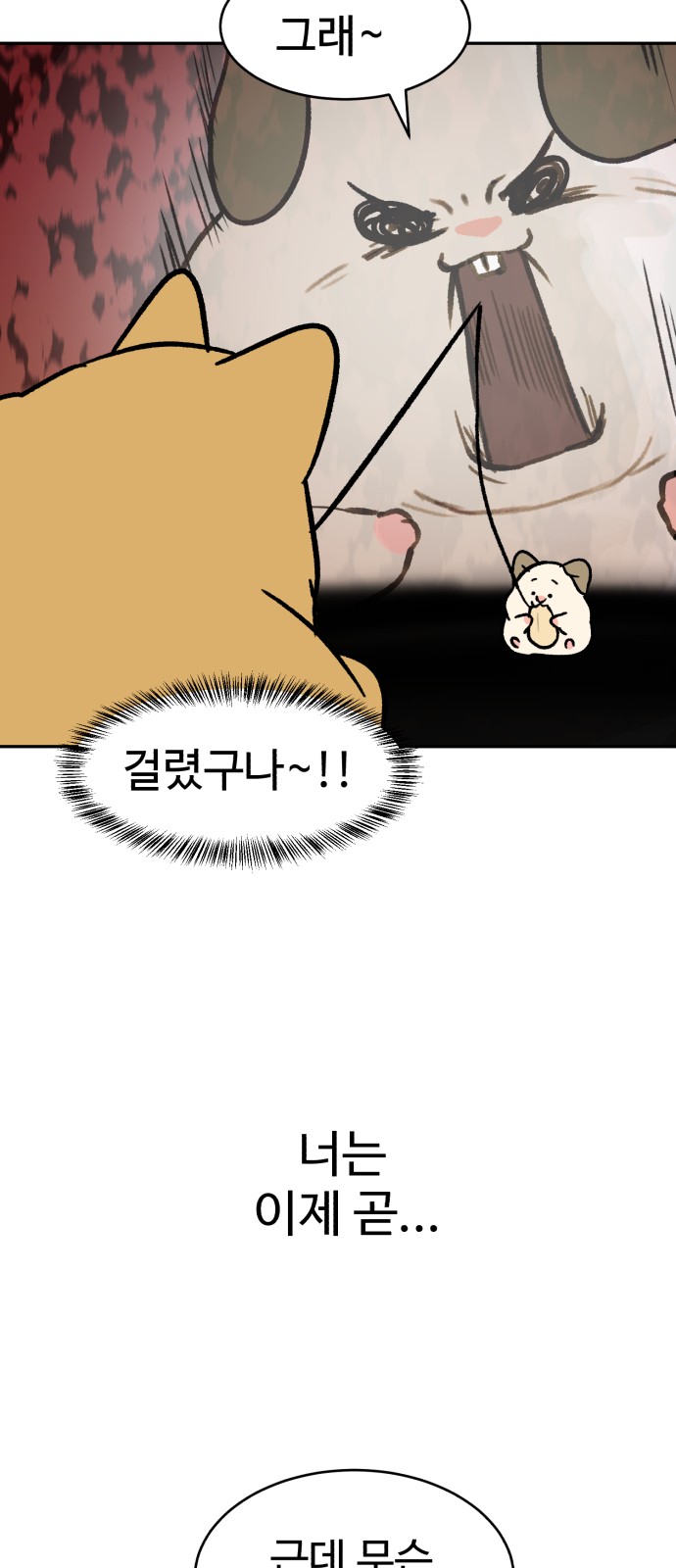36 페이지