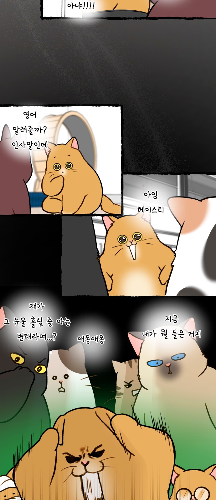 18 페이지