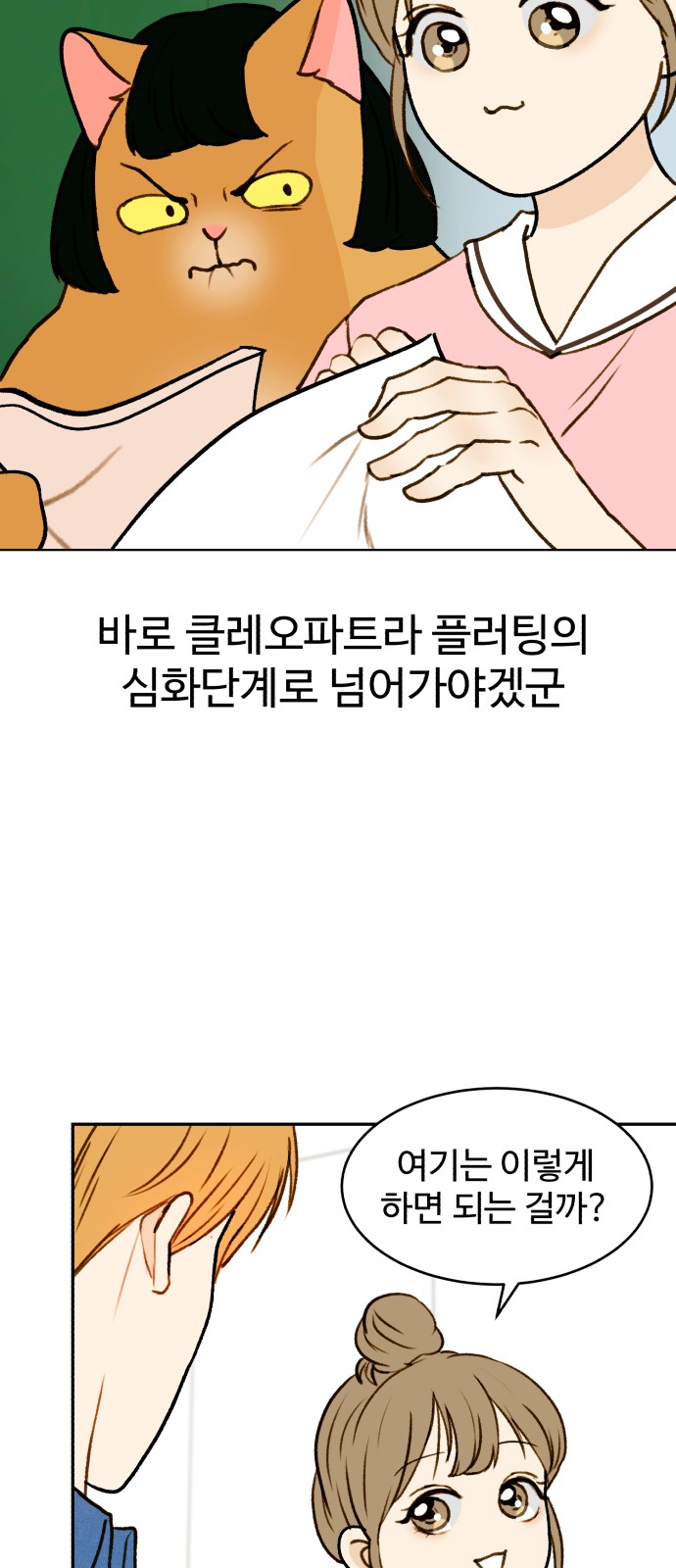 26 페이지