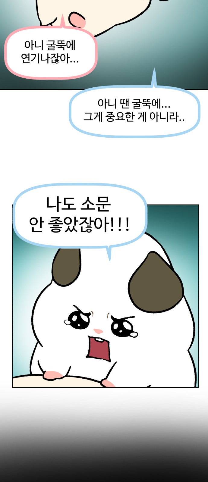48 페이지