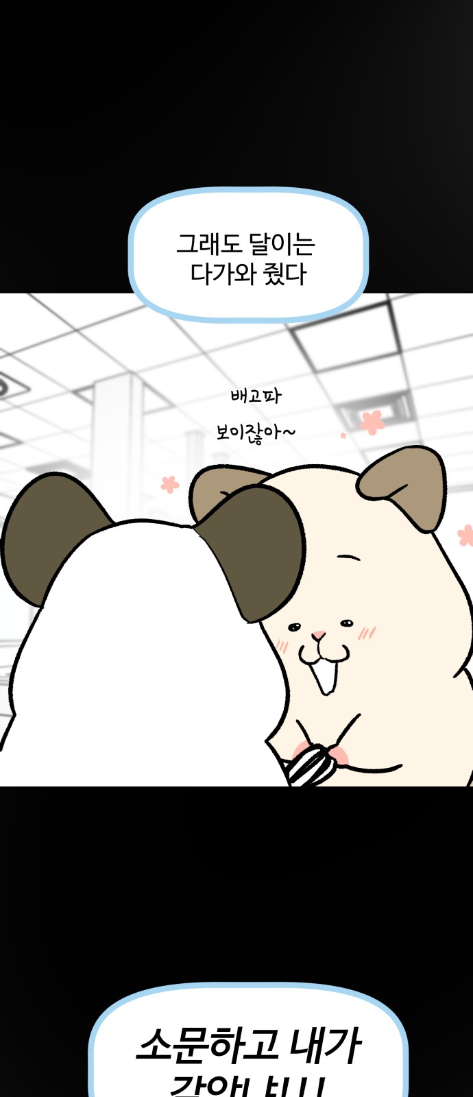 50 페이지
