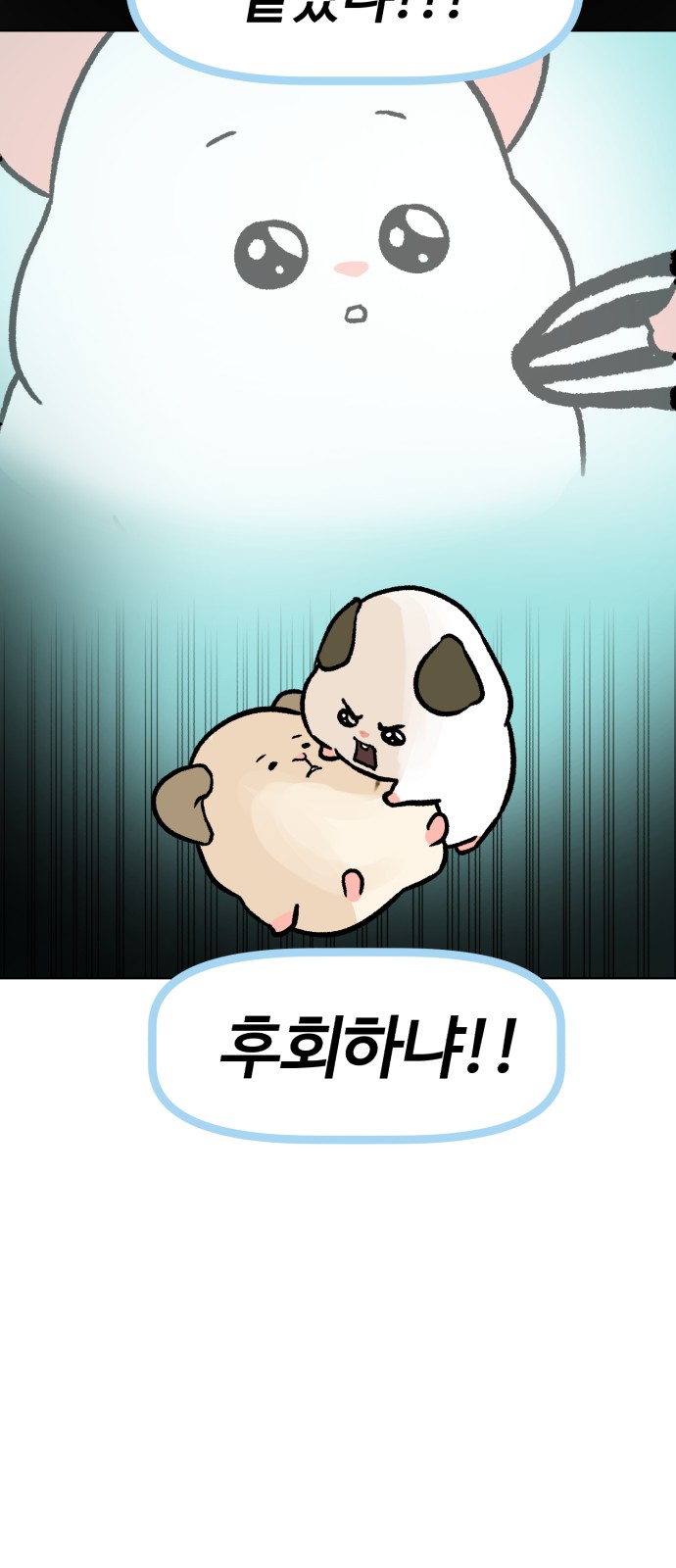 51 페이지
