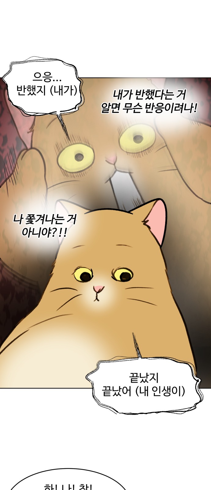 36 페이지