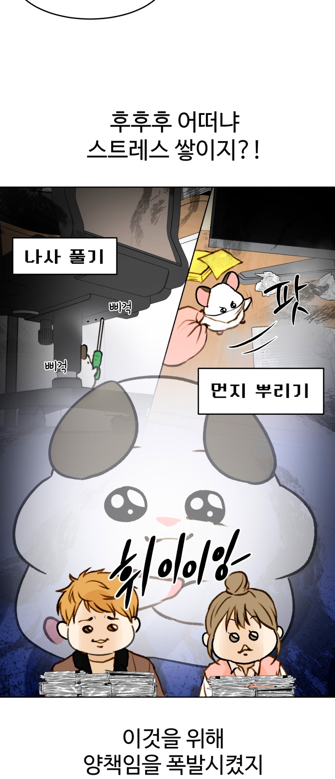 14 페이지