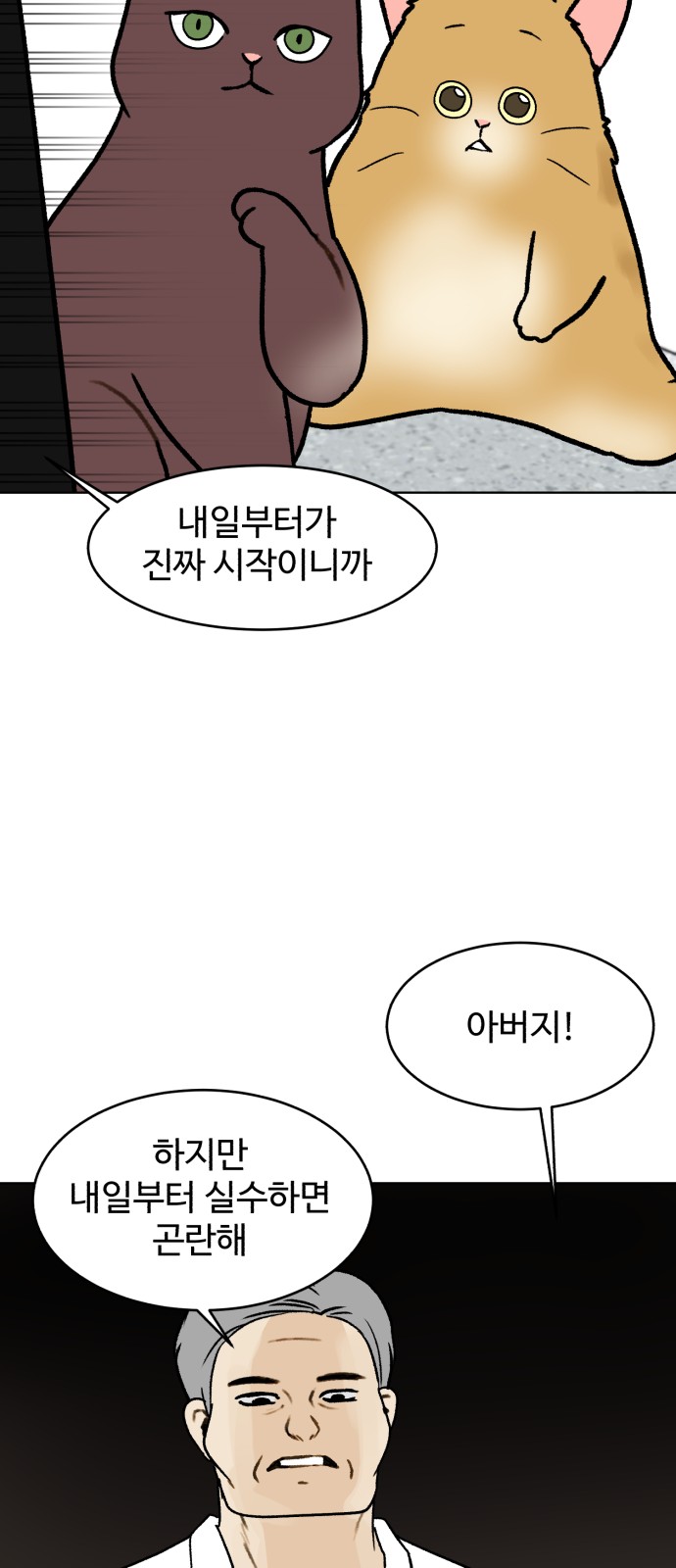 54 페이지