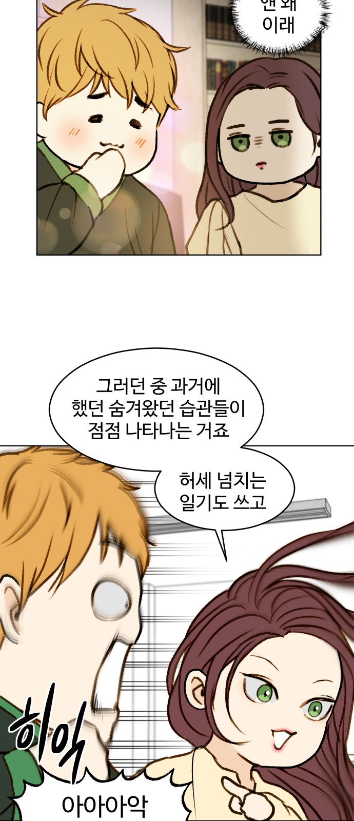 20 페이지