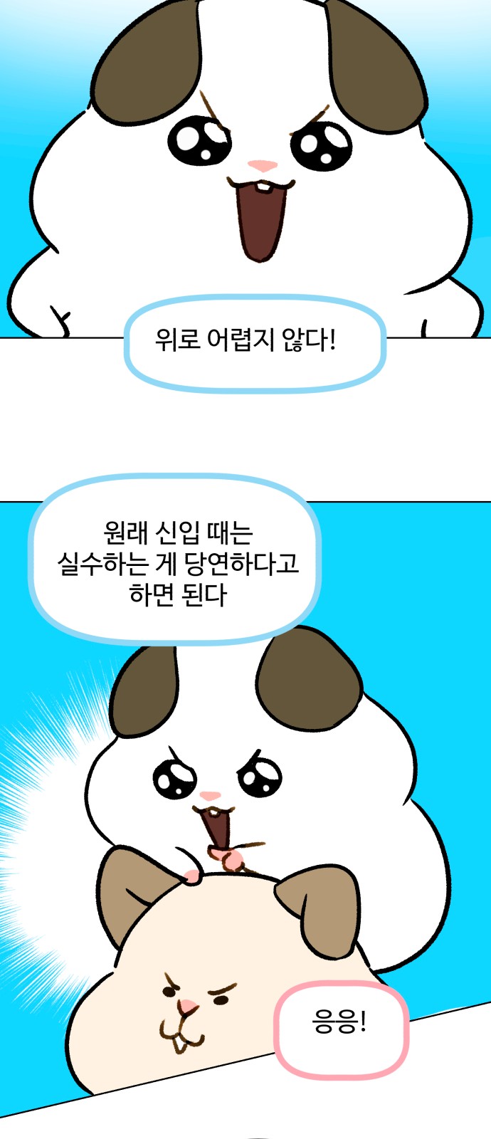 27 페이지