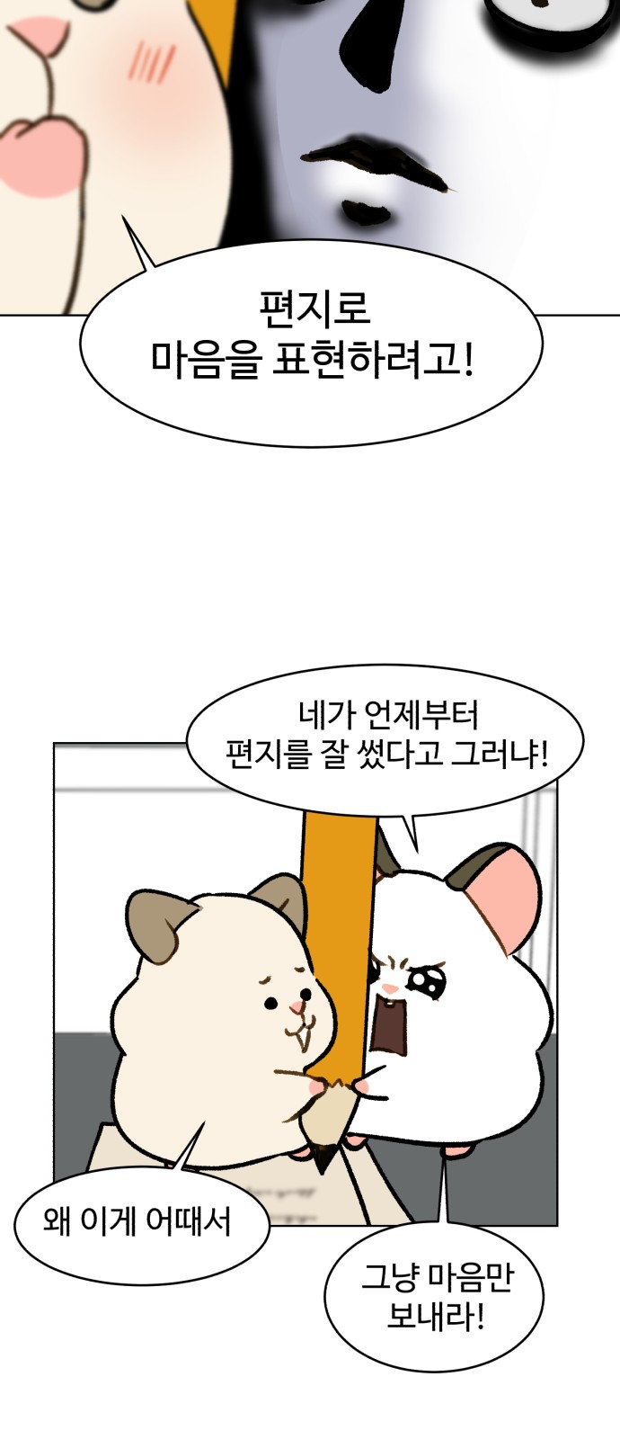34 페이지