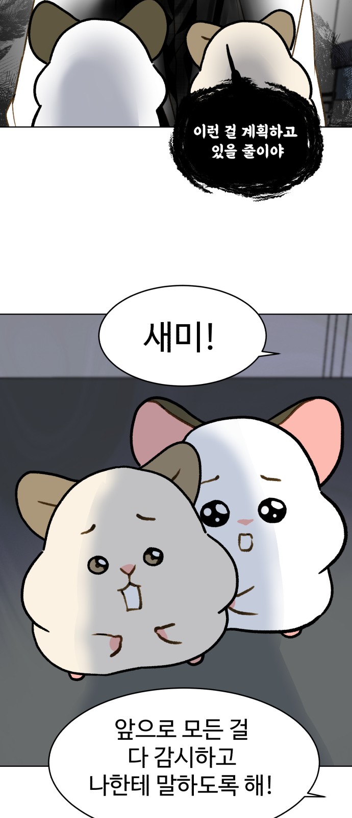 40 페이지
