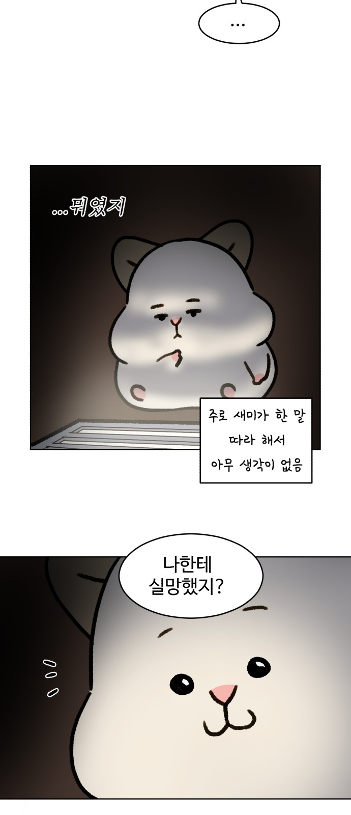 27 페이지