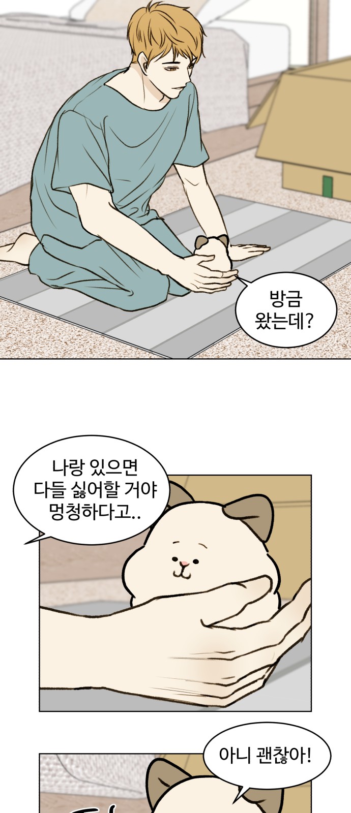 31 페이지