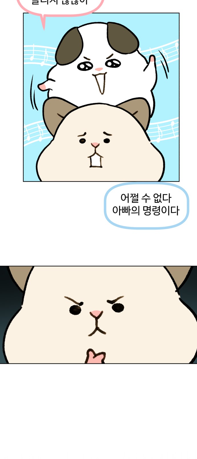 5 페이지