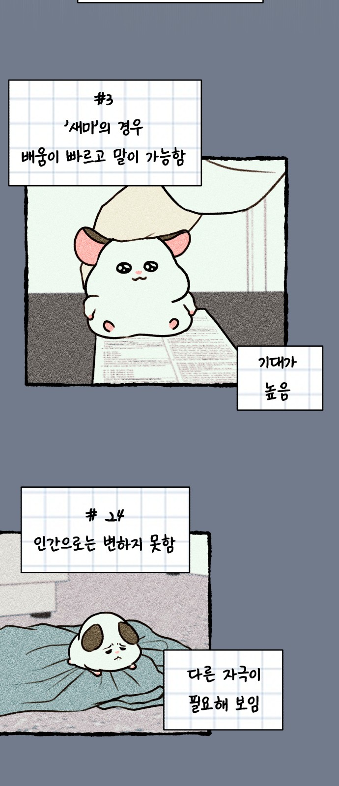 25 페이지