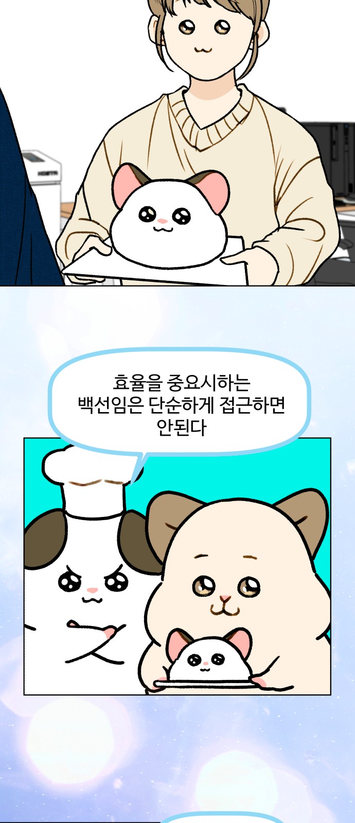 11 페이지