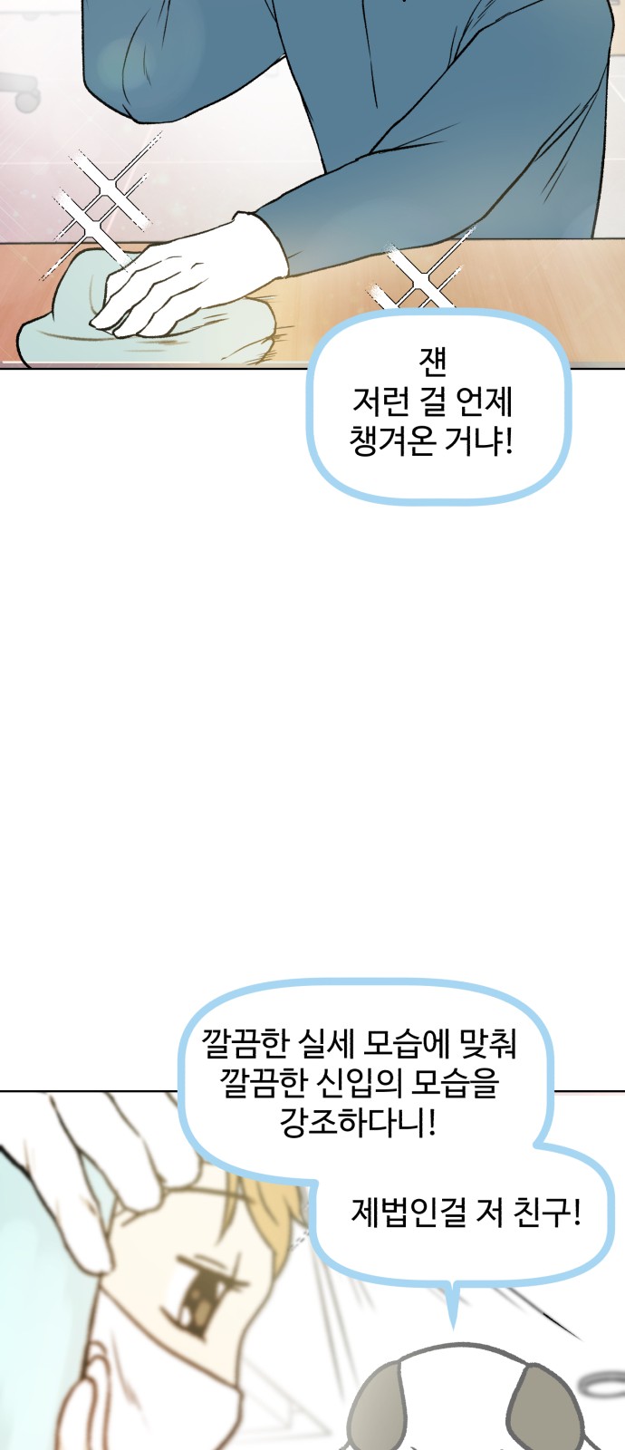 46 페이지