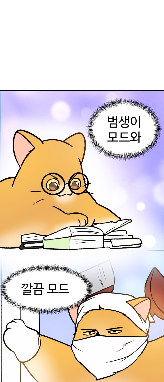 54 페이지