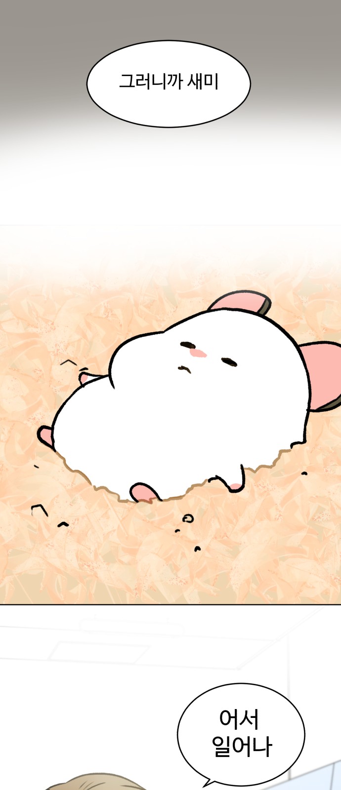 41 페이지