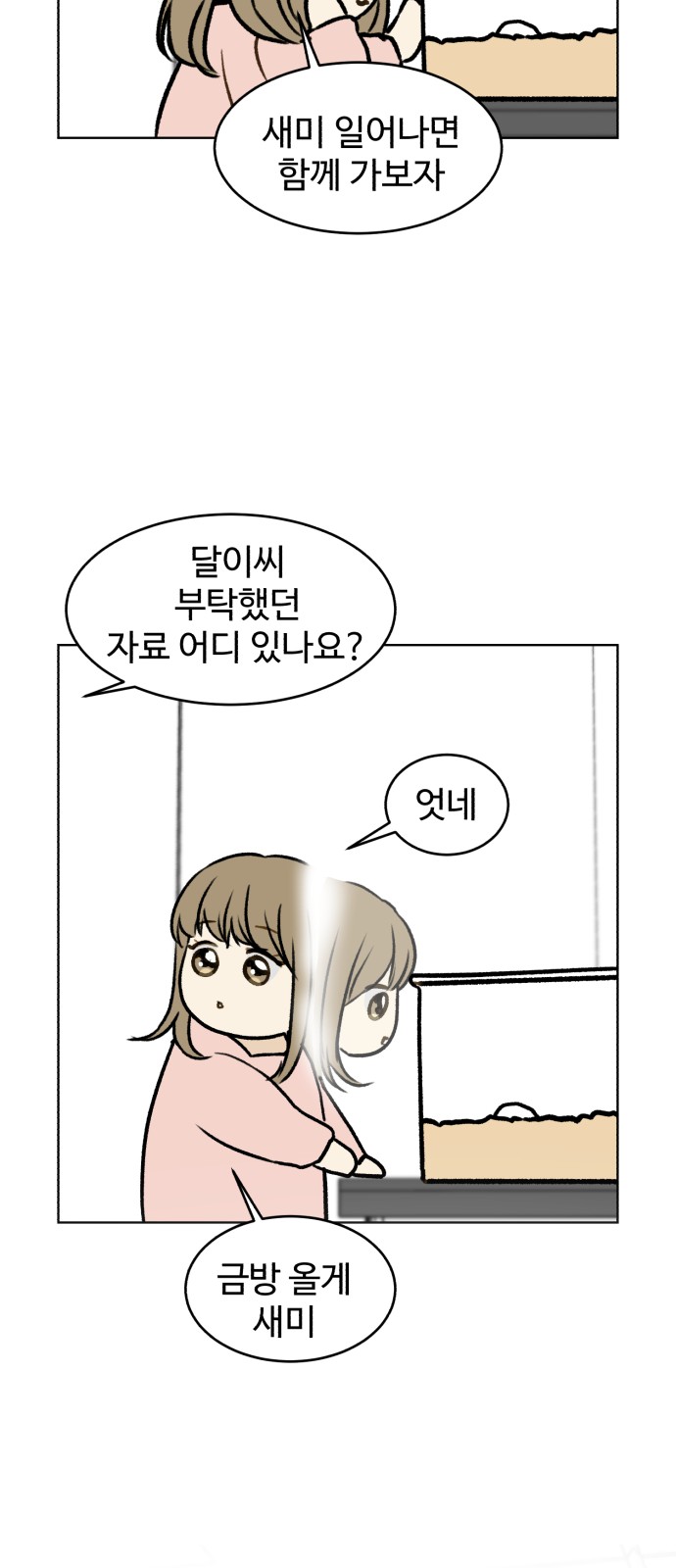 43 페이지