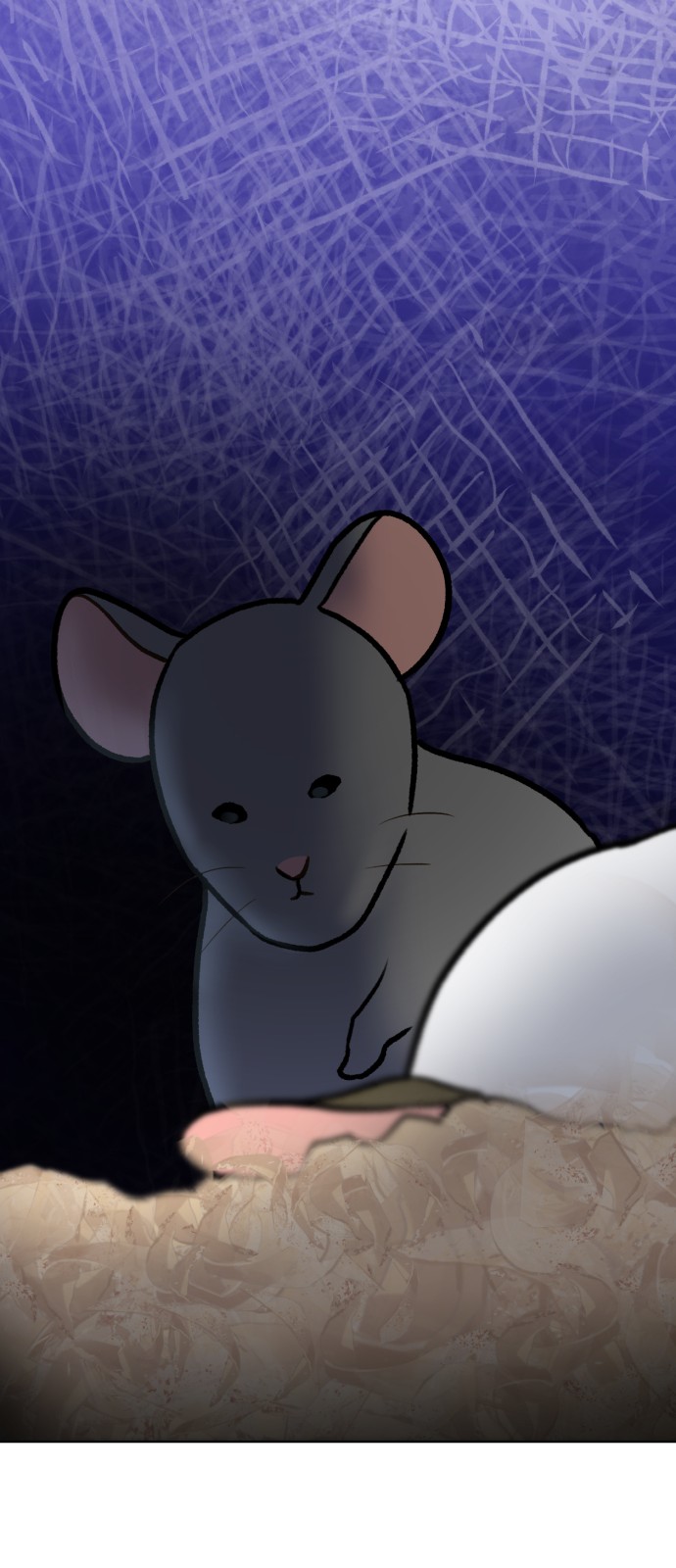 46 페이지