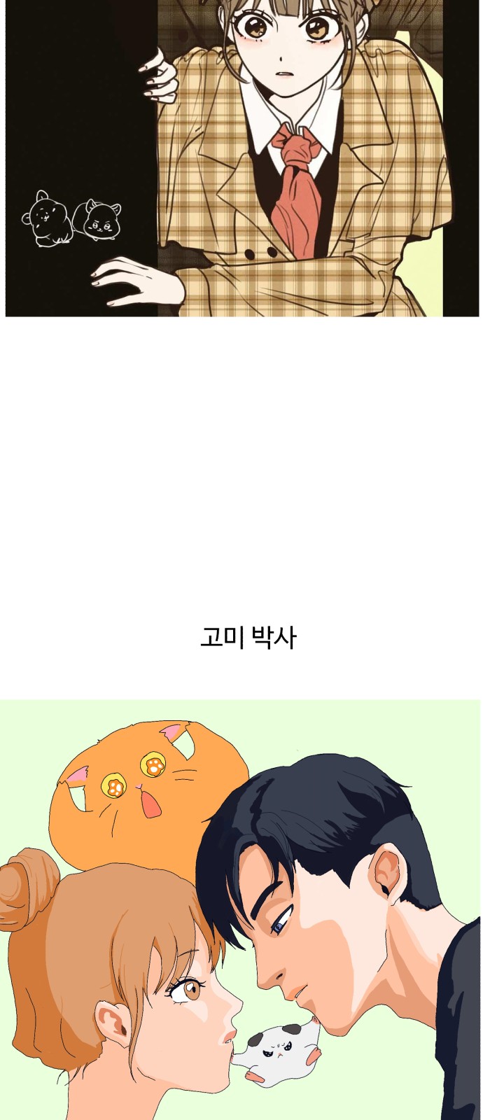 12 페이지