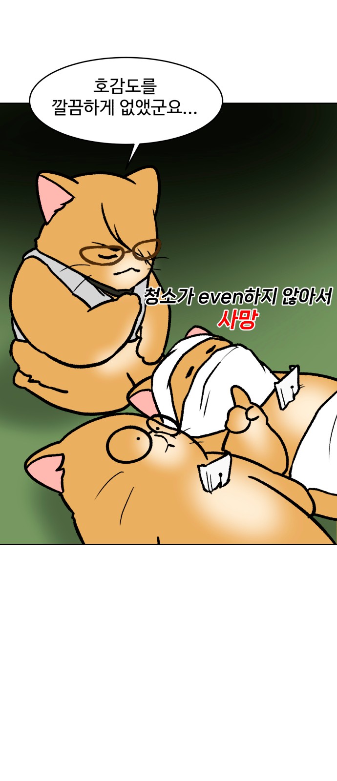 12 페이지