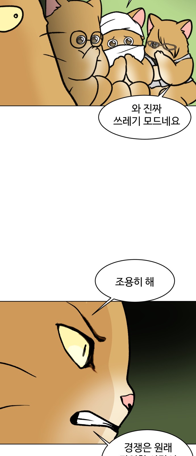 54 페이지