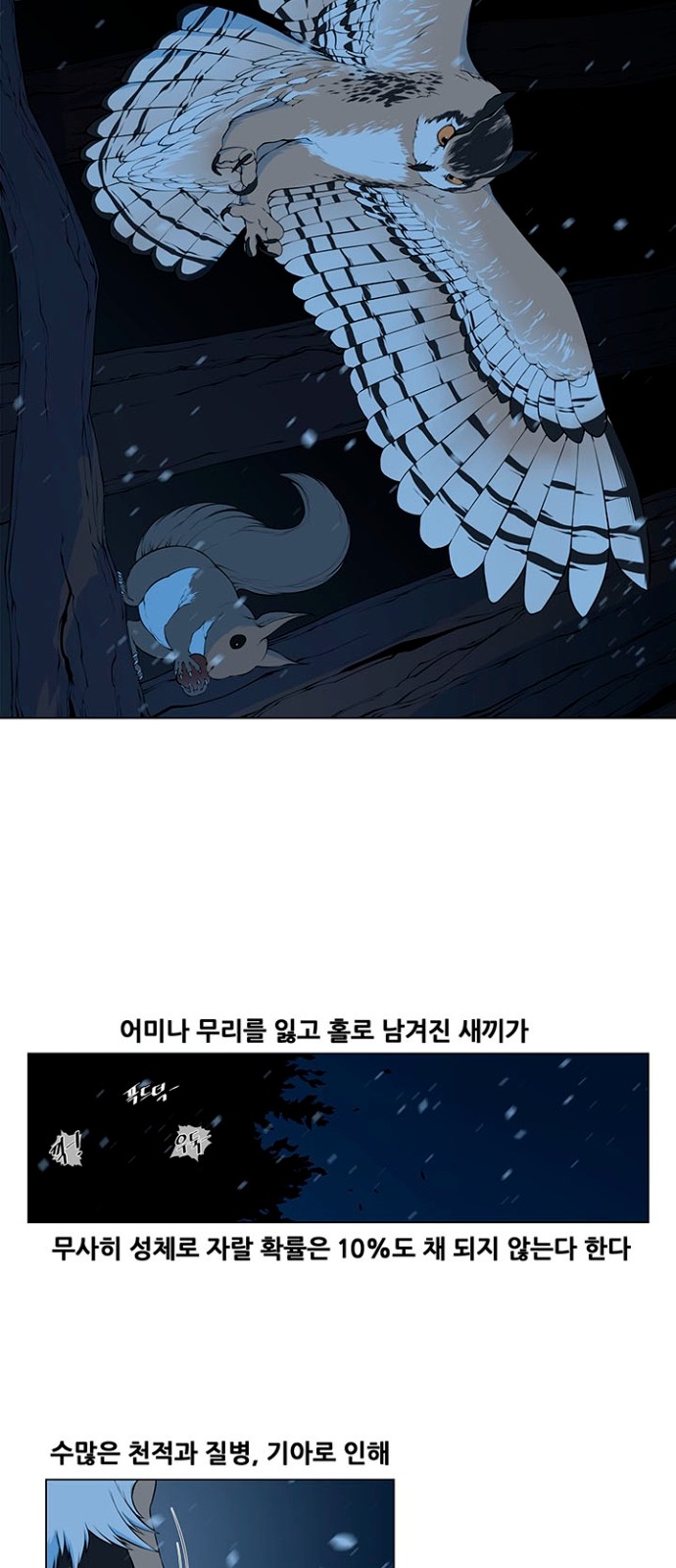 27 페이지