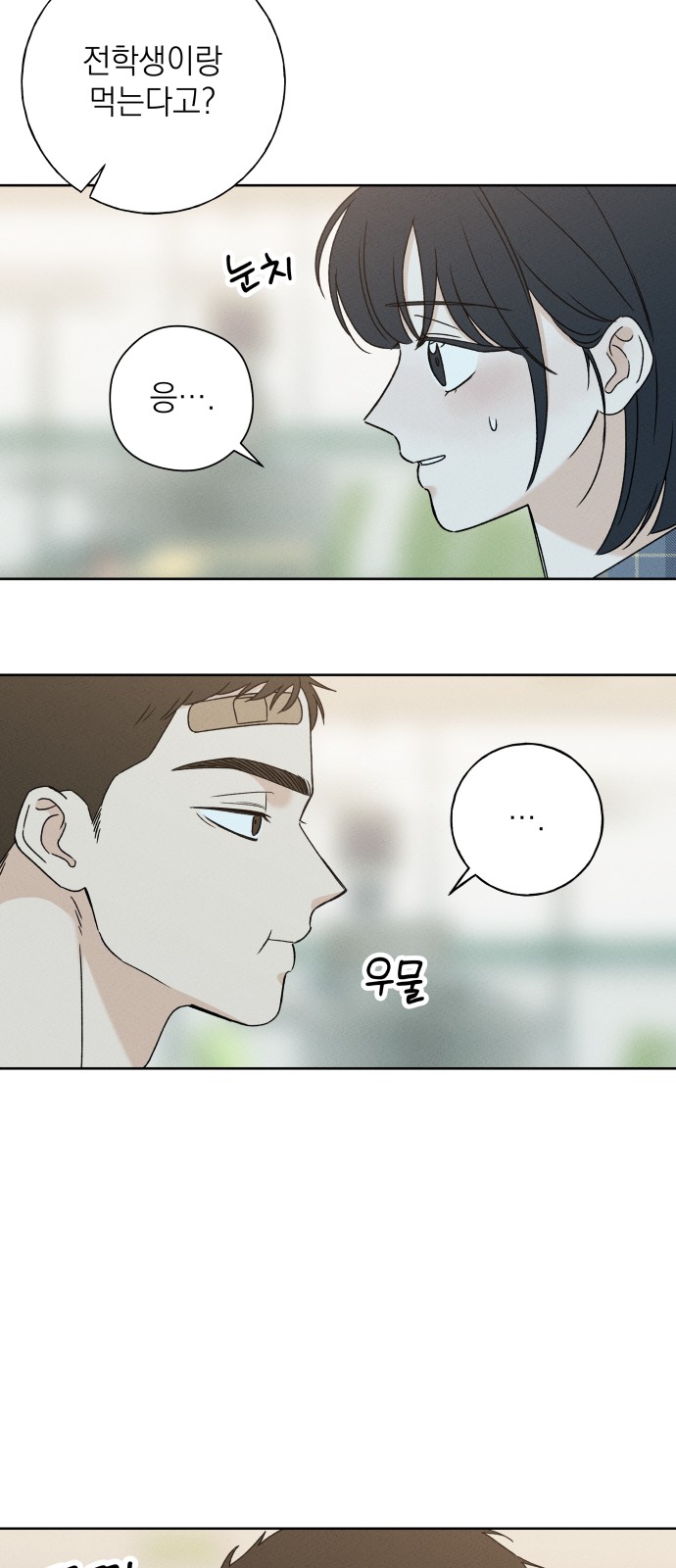 68 페이지