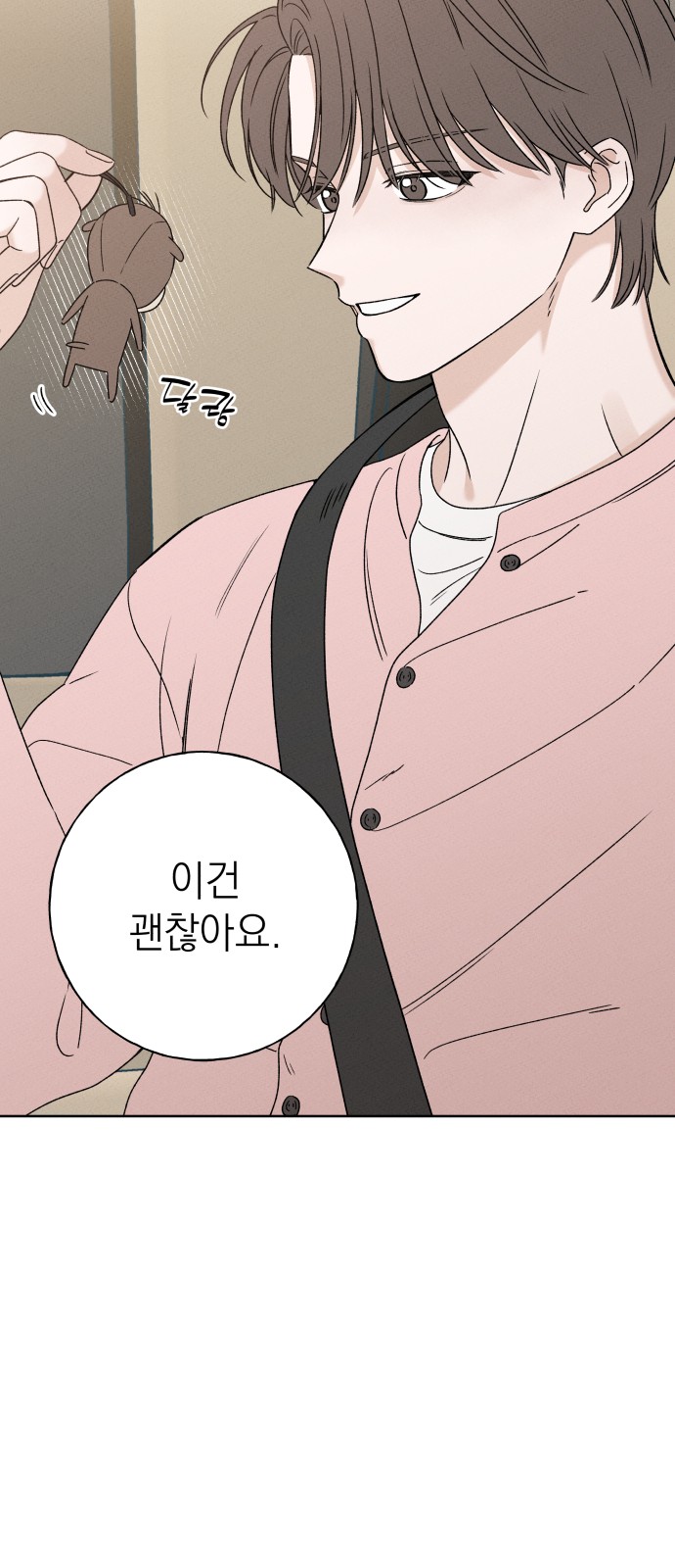 66 페이지