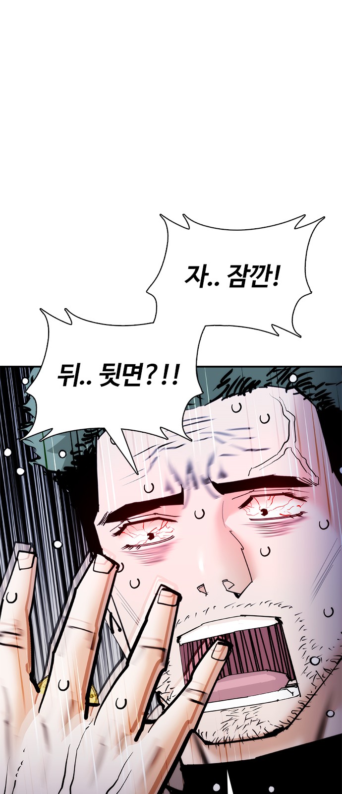 100 페이지