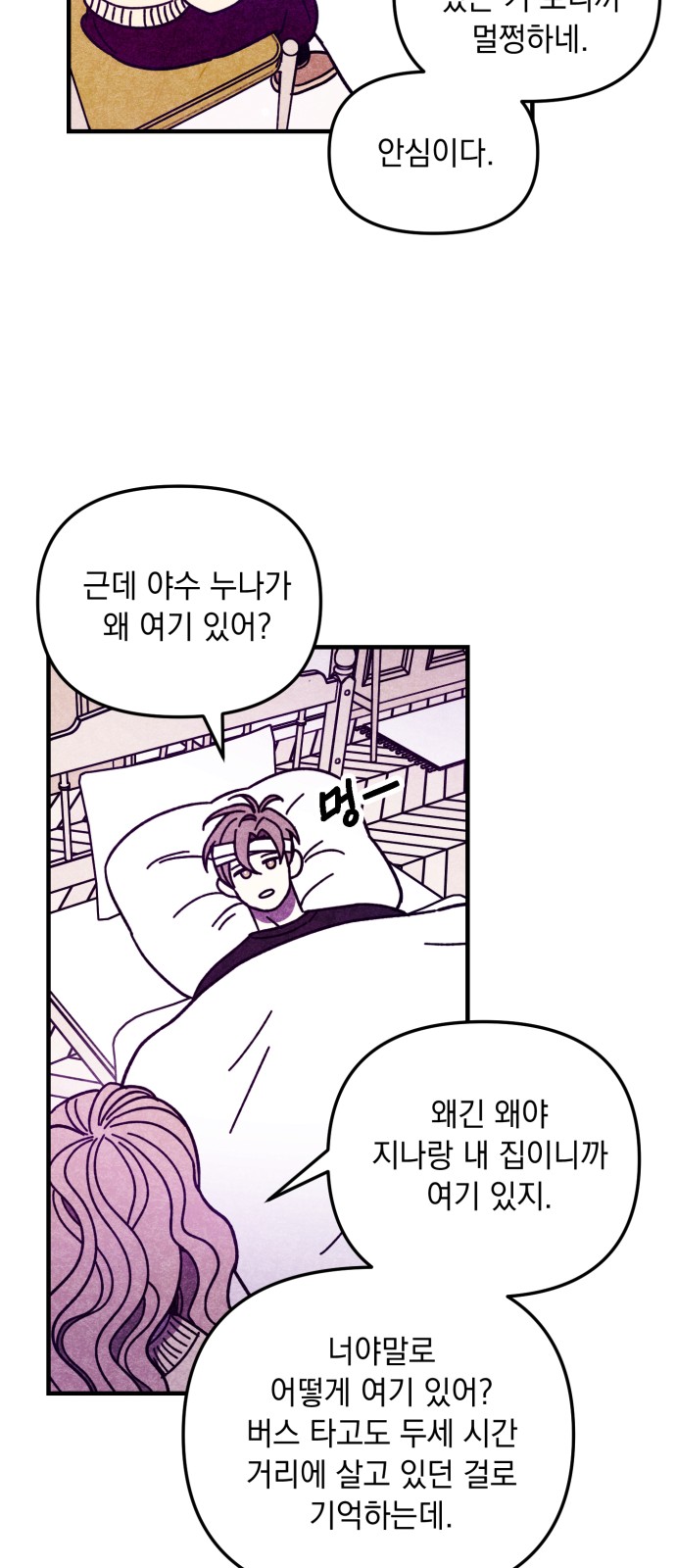 46 페이지