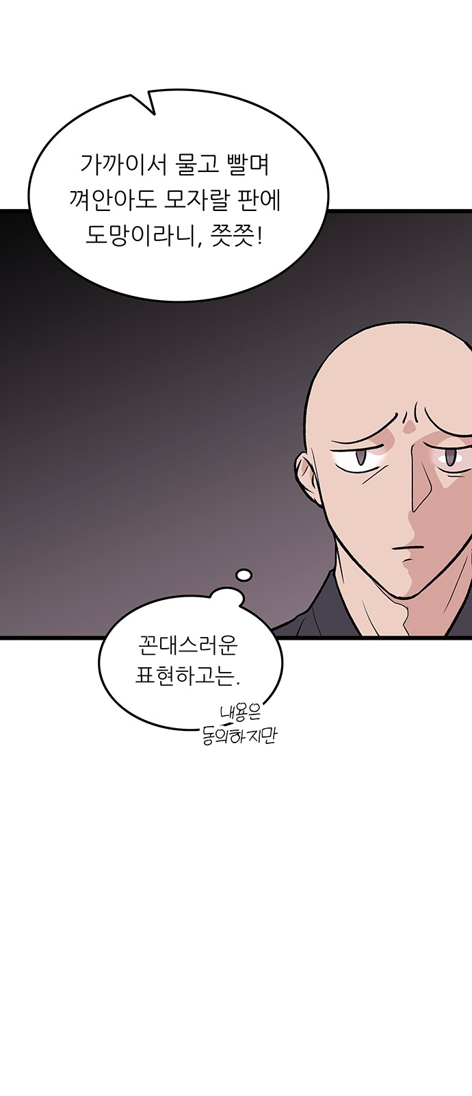 11 페이지