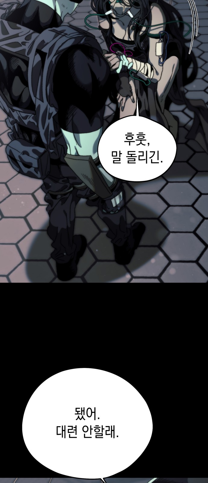 66 페이지