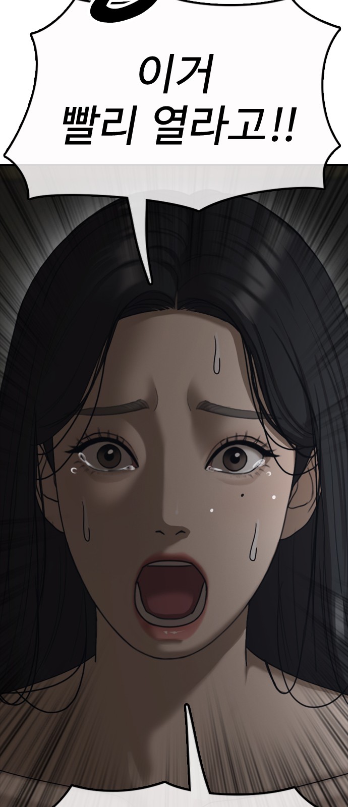 126 페이지
