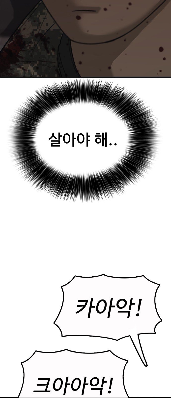 97 페이지