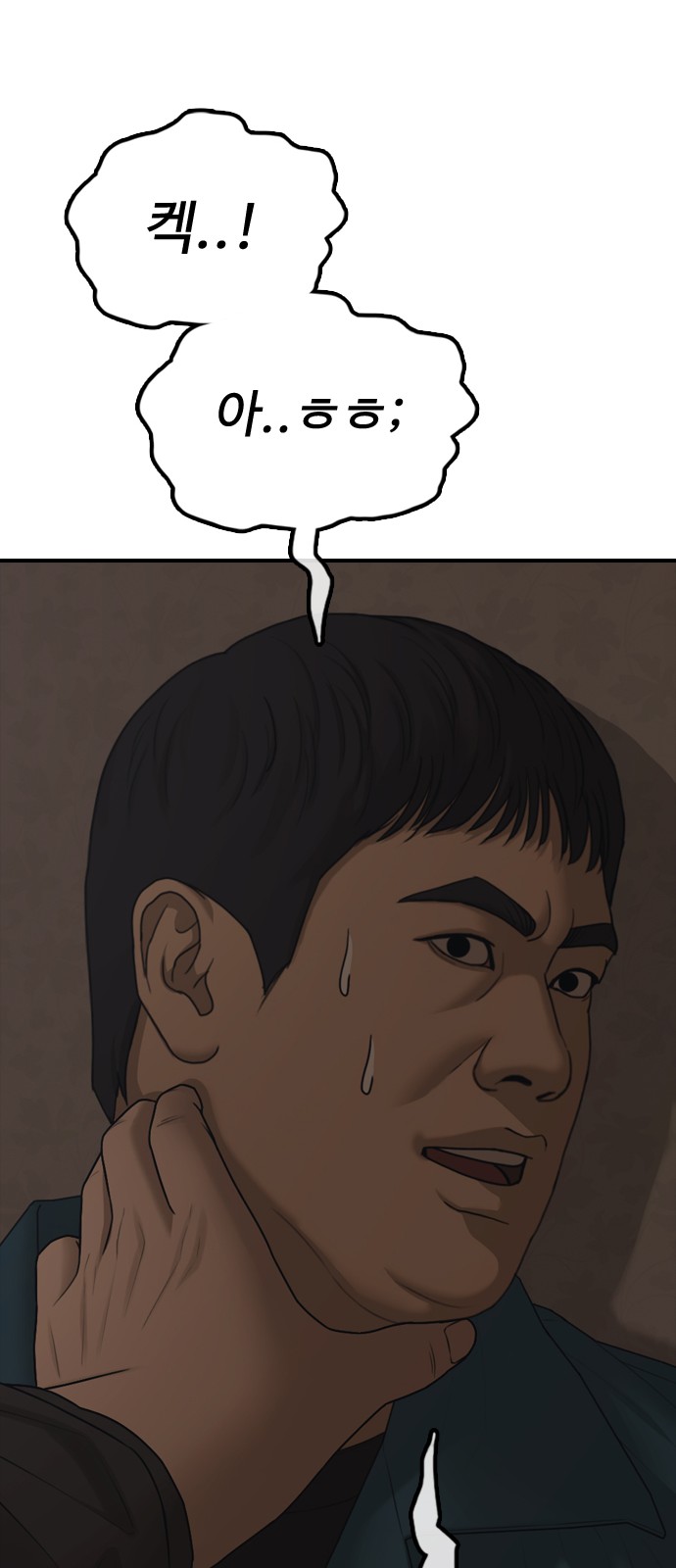 116 페이지