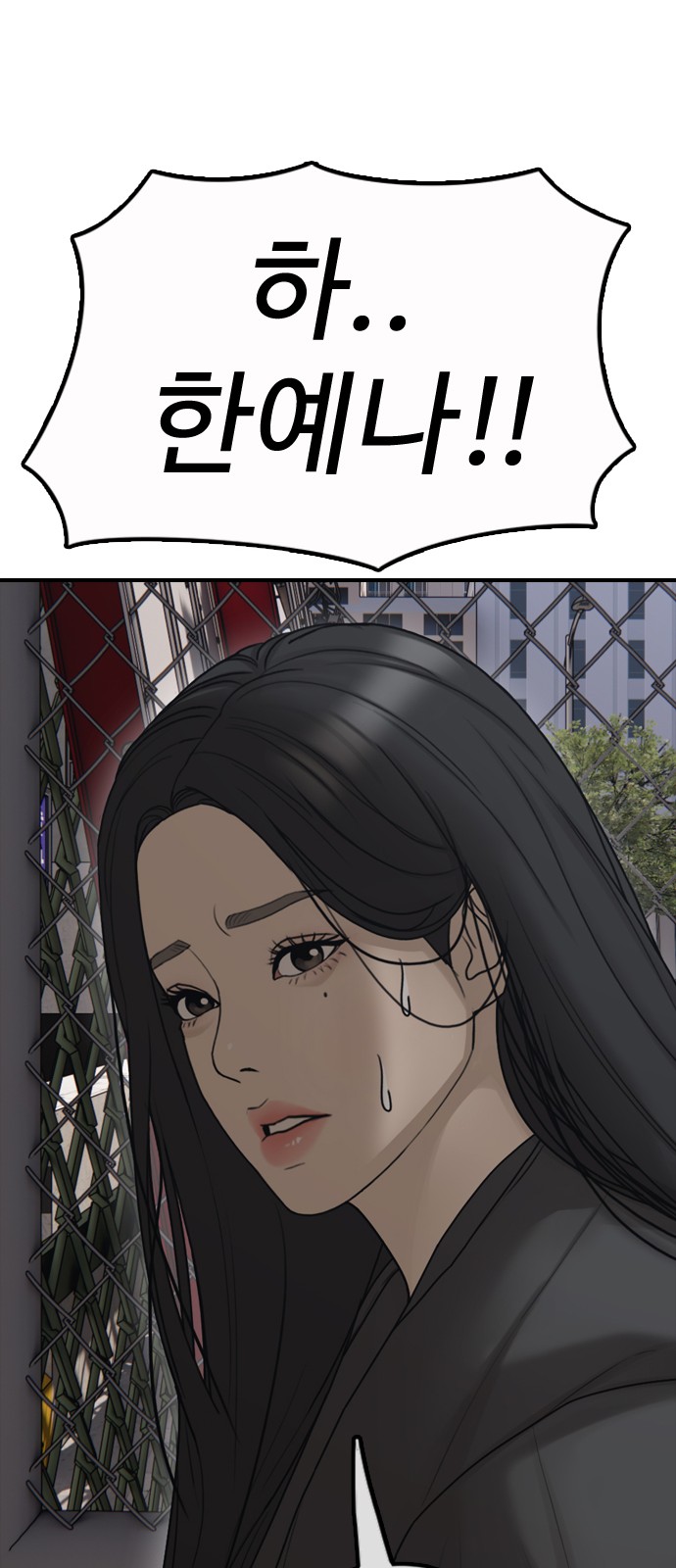 115 페이지