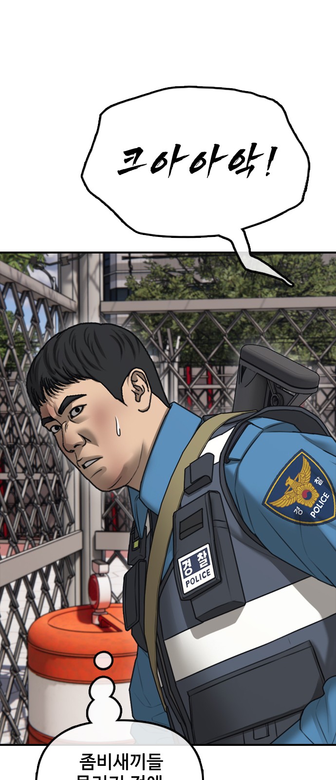 66 페이지