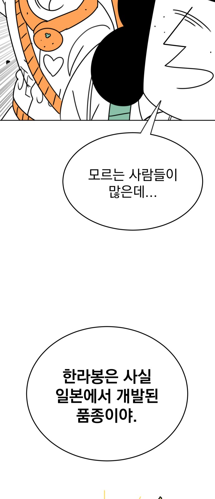 80 페이지